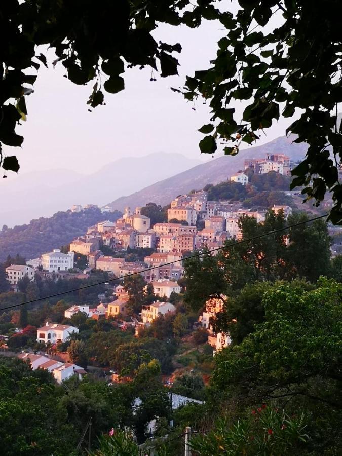 Villa Milanu Oletta  Exteriér fotografie