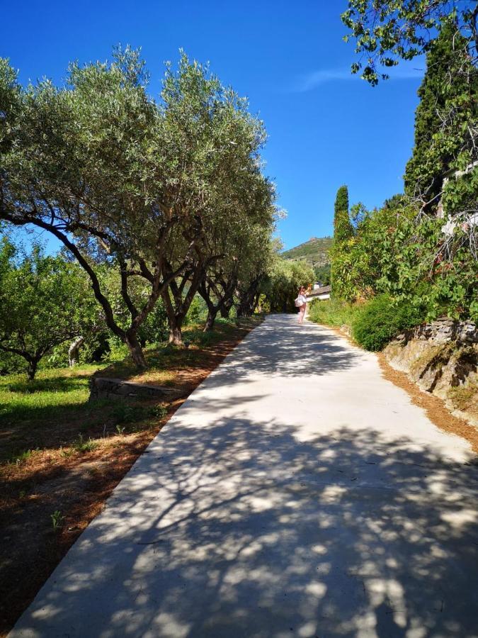 Villa Milanu Oletta  Exteriér fotografie
