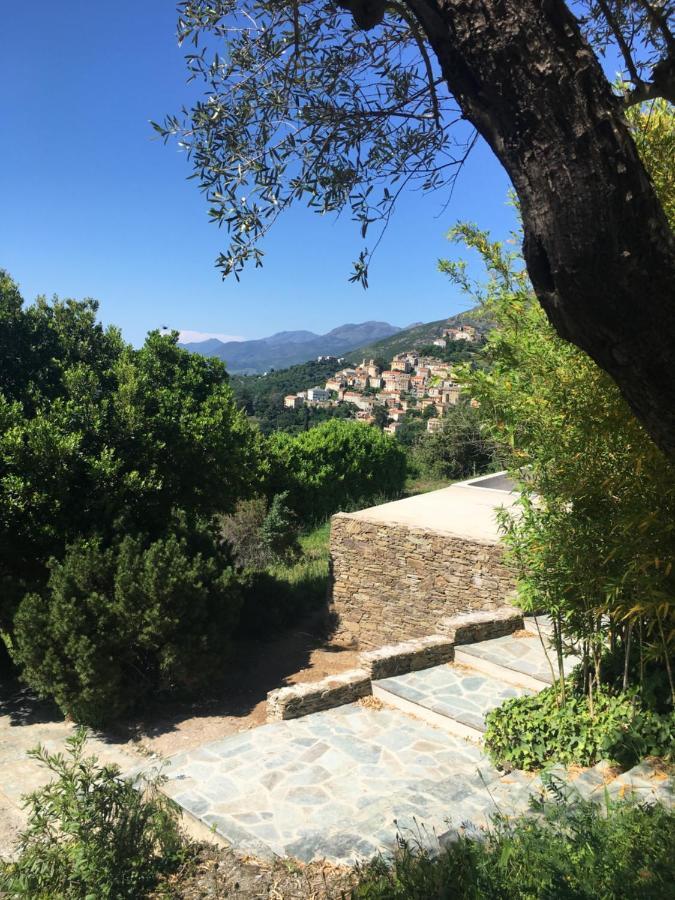Villa Milanu Oletta  Exteriér fotografie